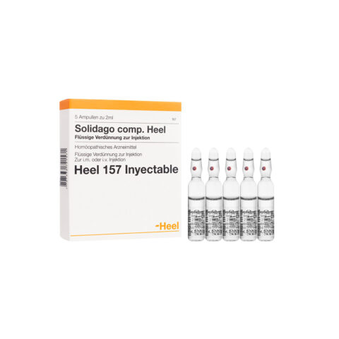 Solidago Compositum Caja Por 5 Ampollas