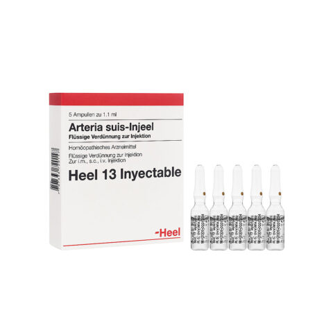 Arteria Suis Injeel Caja X 5 Ampollas