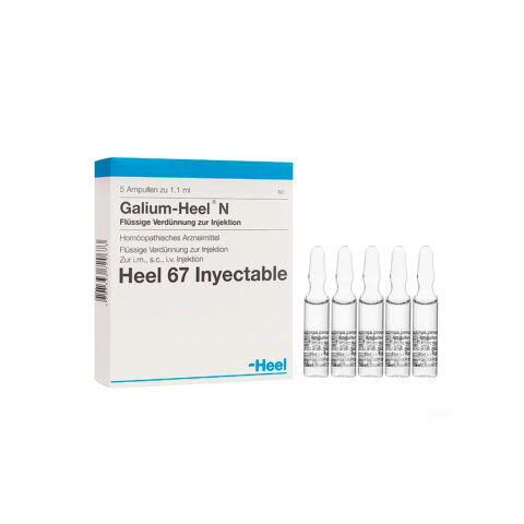 Galium Caja X 5 Ampollas