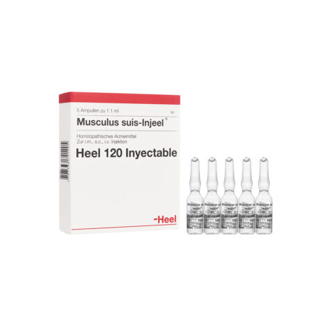 Musculus Suis Caja X 5 Ampollas