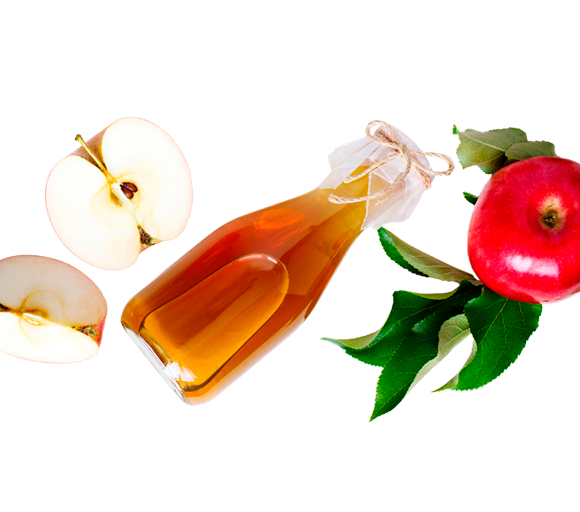 Alimentos