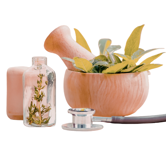 Medicamentos Fitoterapéutico